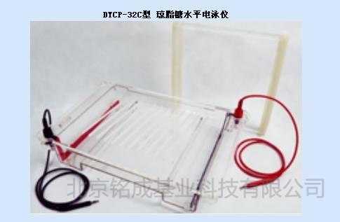 北京六一琼脂糖水平电泳槽DYCP-32C